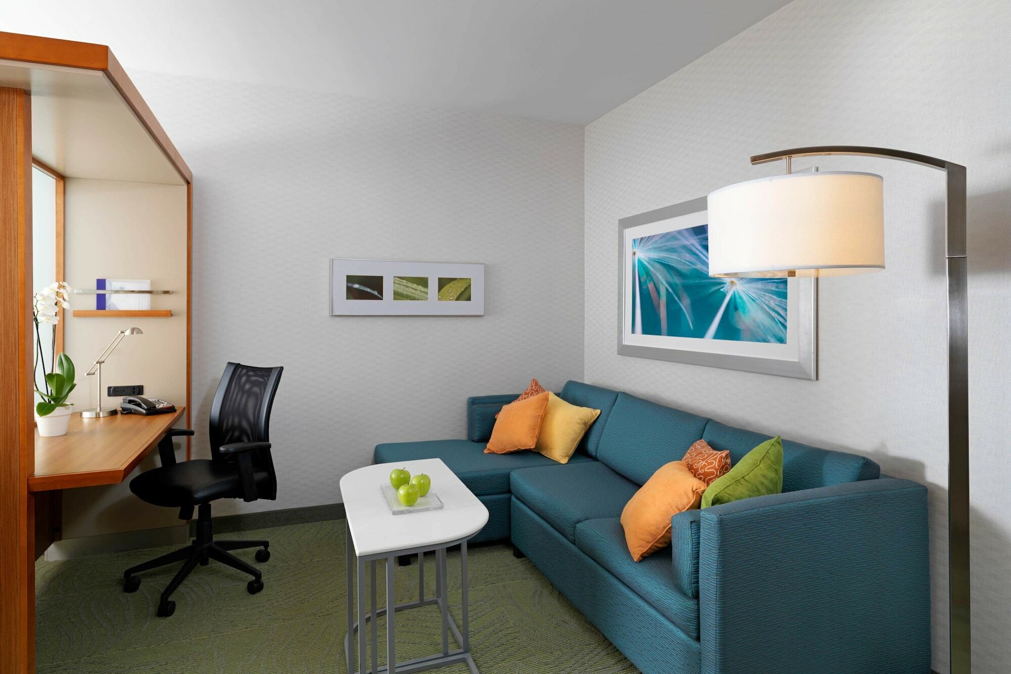 Springhill Suites By Marriott Kansas City Lenexa/City Center Exteriér fotografie